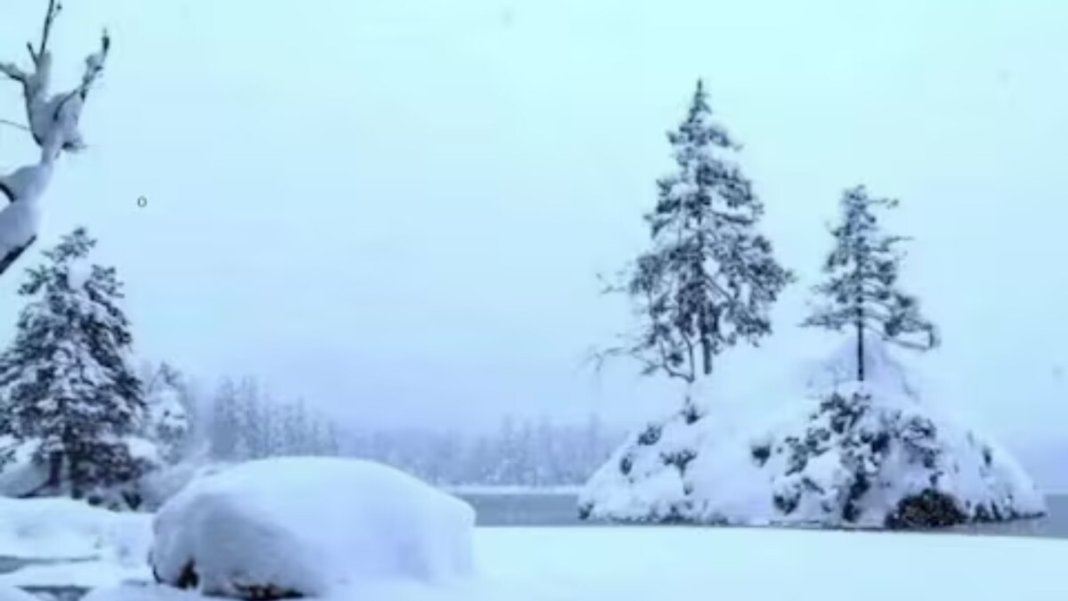 Can You Spot The Polar Bear In This Viral Image? You Have Just 10 Seconds