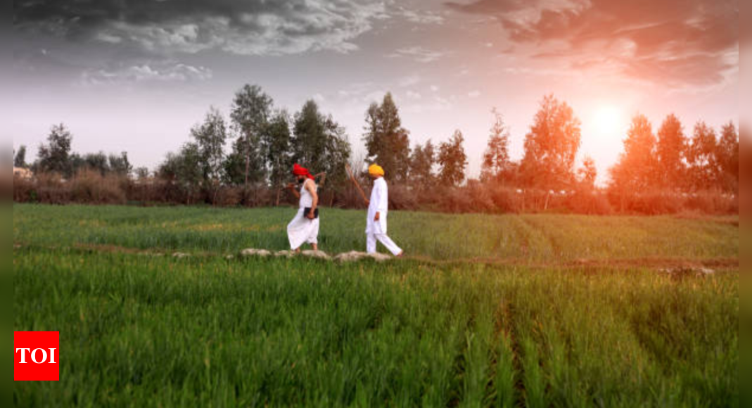 Vitamin D deficiency in India: India has abundant sunlight then why are people deficient in Vitamin D? Mistakes to avoid |