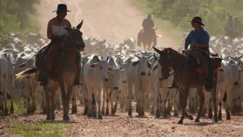 Getty Images Ranchers herding cattle in the Brazilian state of Mato Grosso do Sul