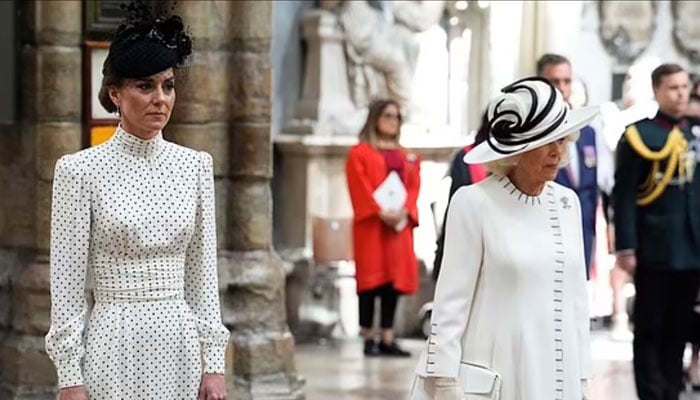 Kate Middleton pays special tribute to Princess Diana after Camillas move